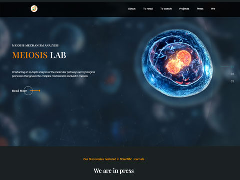 Meiosis Website