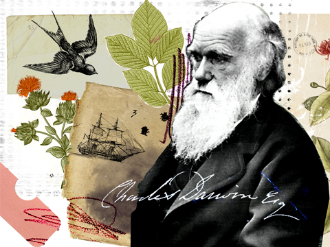 Darwin infographi movie