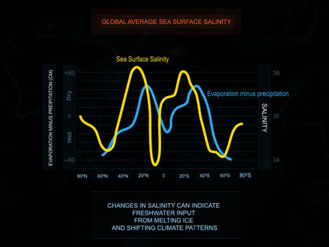 Ocean Infographic Video